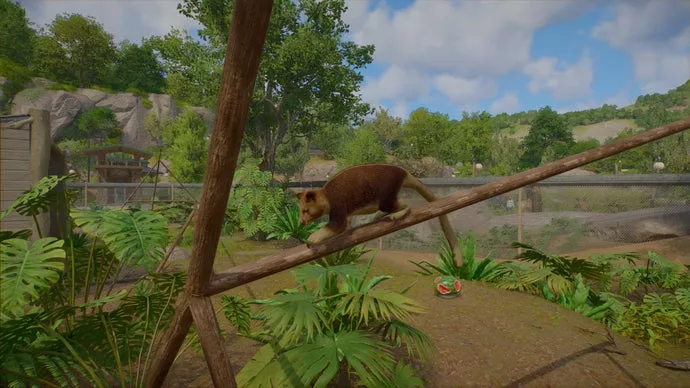 Planet Zoo 2 is a beautiful sequel and a fine management sim, but it's the animals that steal the show